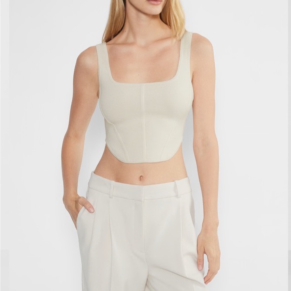 Aritzia Babaton Sculpt Knit Bustier Tank - Picture 2 of 5